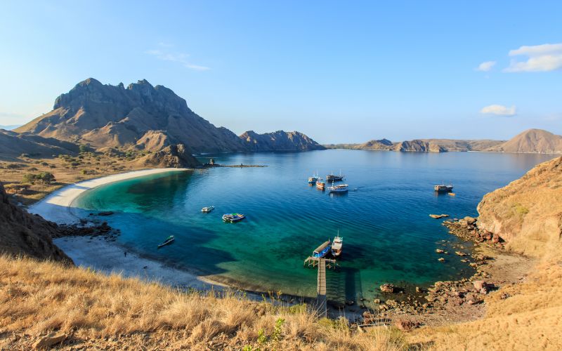 1 DAY HOPPING ISLAND - KOMODO DRAGON & MARINE DISCOVERY