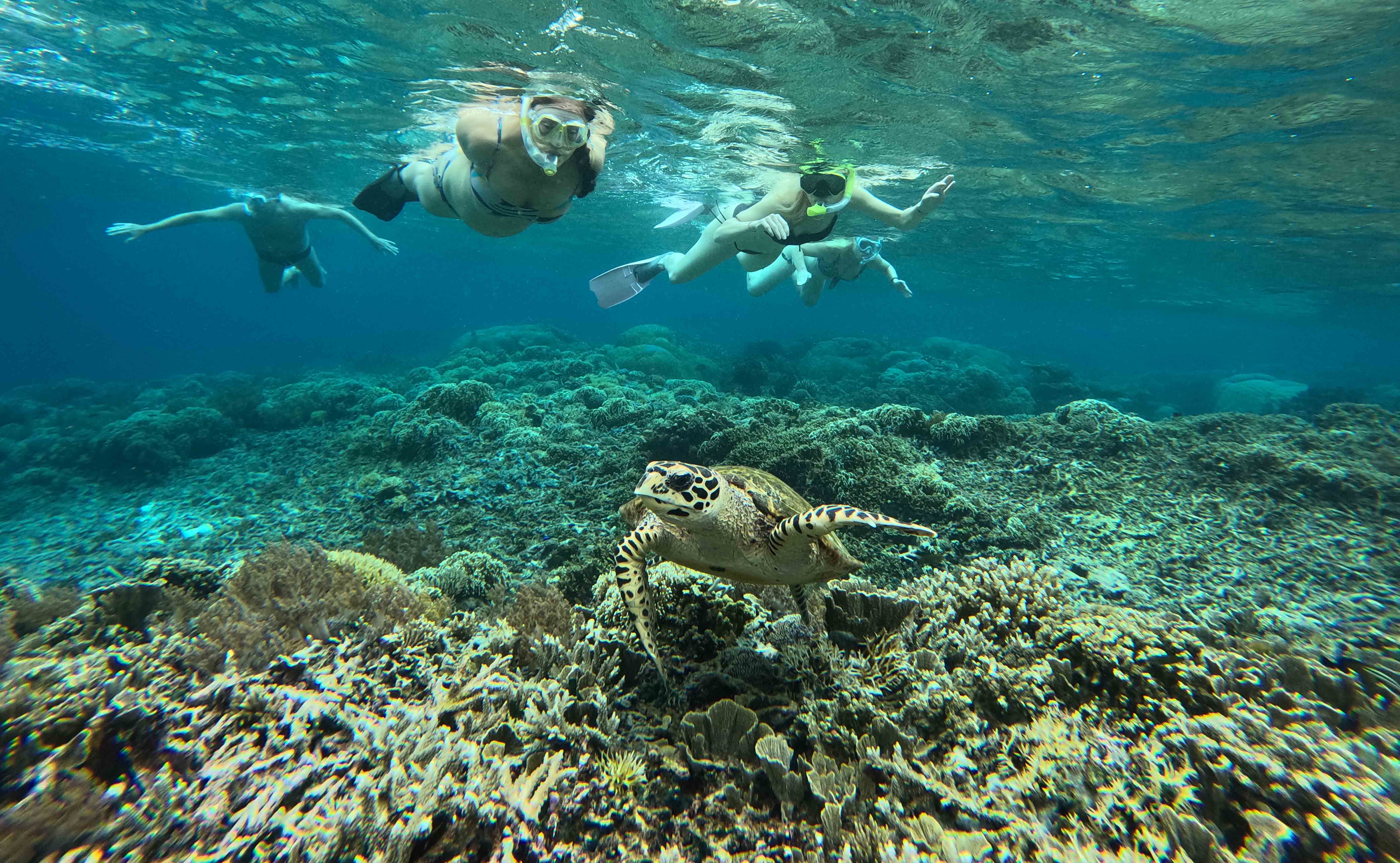5 DAYS 4 NIGHTS EXPLORE RAJA AMPAT ISLANDS