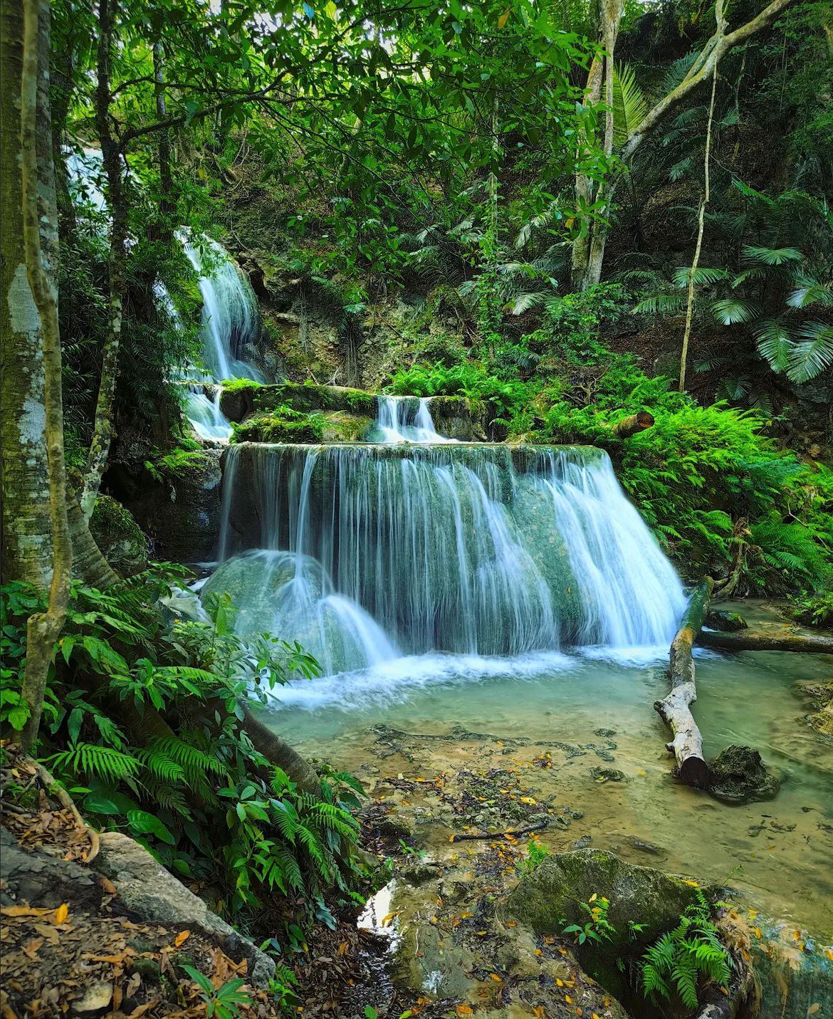 3 DAYS 2 NIGHTS WEST TIMOR THROUGH KUPANG