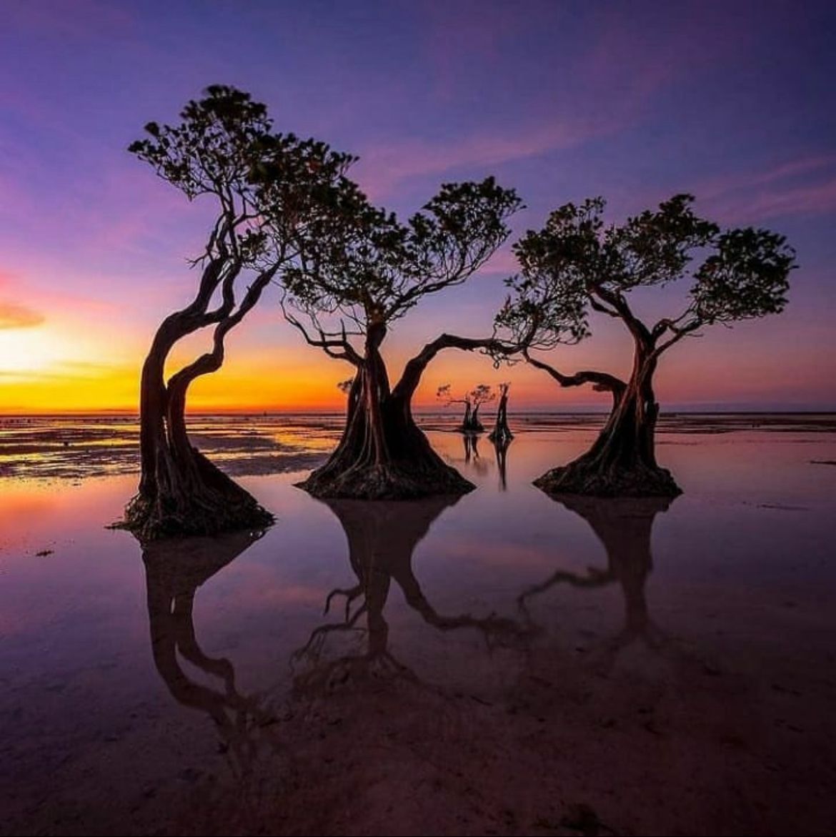 6 DAYS AND 5 NIGHTS SUMBA EXPERIENCE
