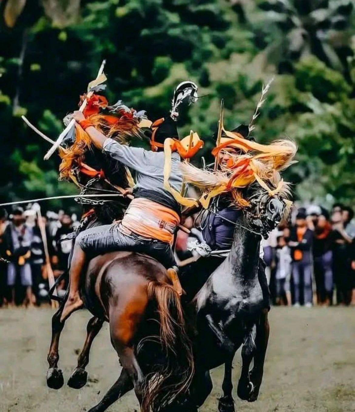 3 DAYS 2 NIGHTS SUMBA PASOLA FESTIVAL