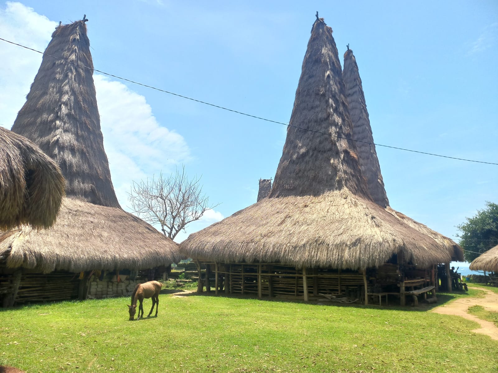 Nyepi Package: Sumba 3D2N - Explore Wonderfull Sumba