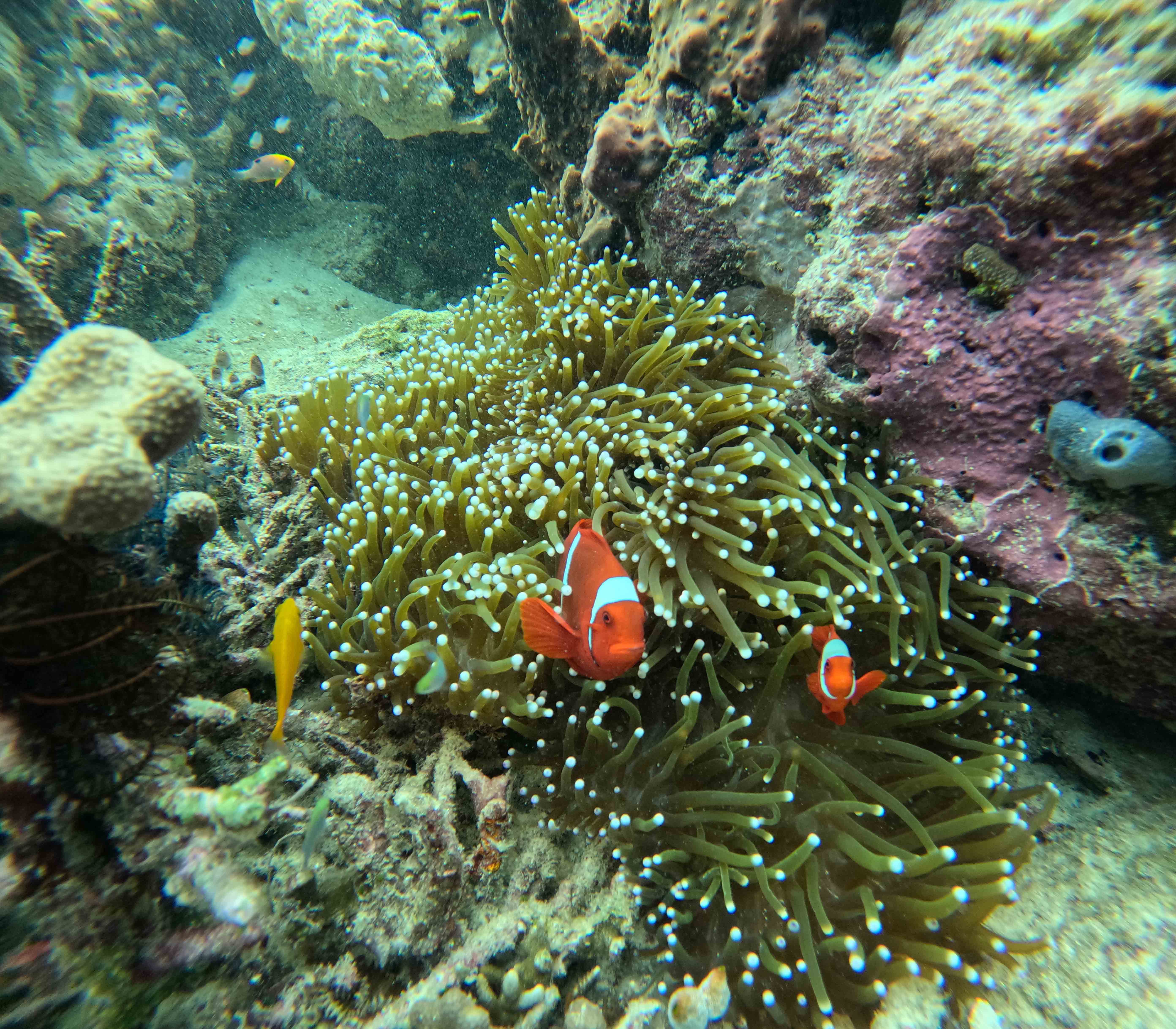 3 DAYS 2 NIGHTS GILI TRAWANGAN
