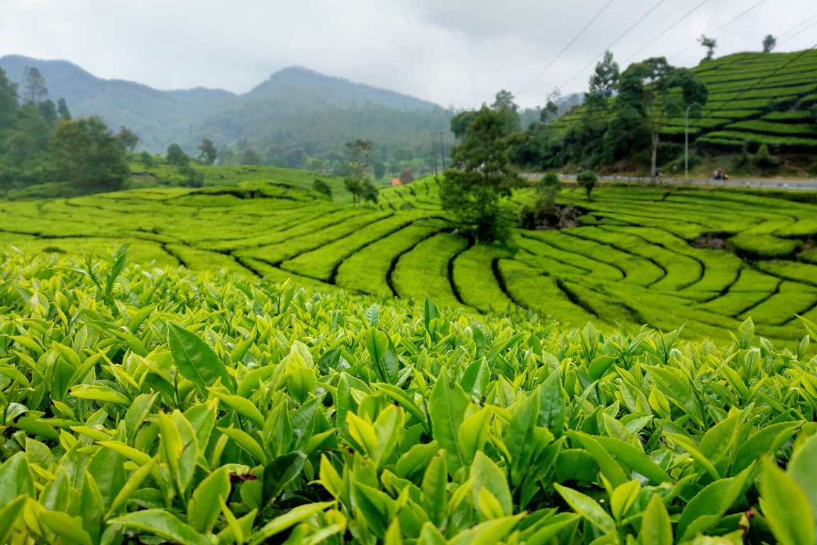 BANDUNG WEST JAVA